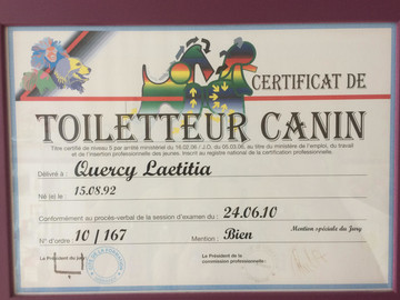 Certificat de toilettage canin