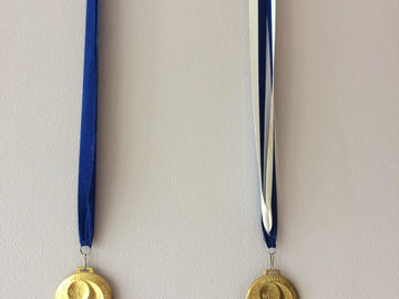 Médaille d'or départemental et régional
